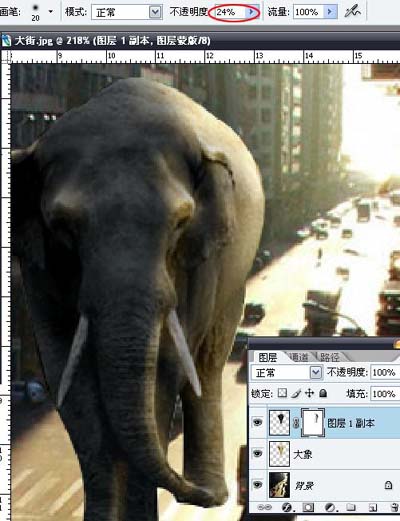 PS合成行走在城市道路上的大象图片