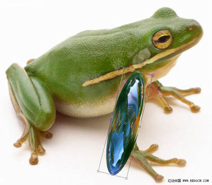 PS合成一只晶莹剔透的玻璃青蛙图片