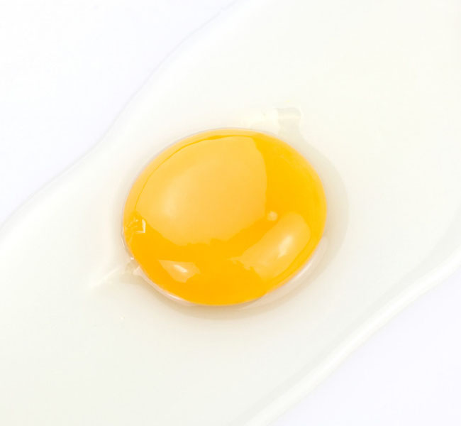 Photoshop合成一个半透明的鸡蛋图片