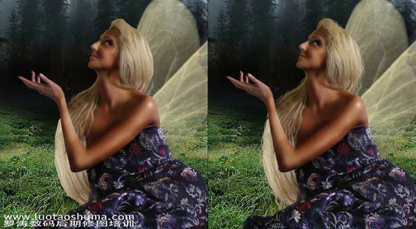 PS合成恐怖森林中的蝴蝶仙子照片