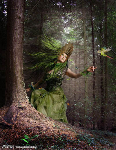 PS合成黑暗森林中的漂亮女妖照片