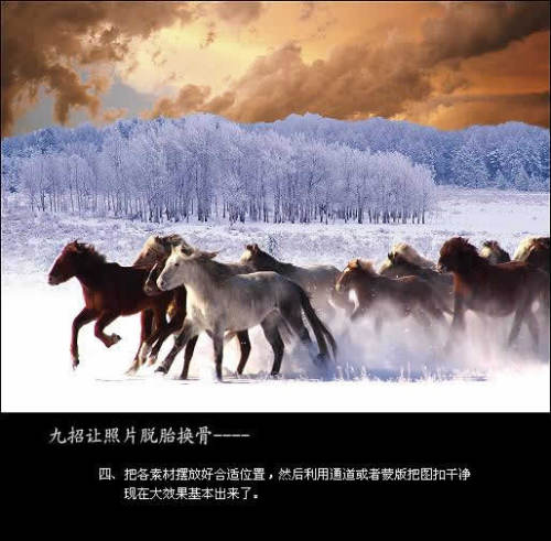PS合成唯美雪原中奔跑的骏马图片