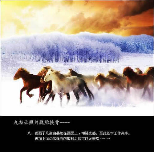 PS合成唯美雪原中奔跑的骏马图片