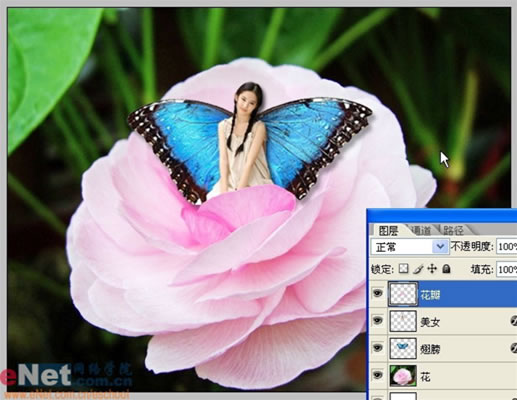 Photoshop合成鲜花中的蝴蝶仙子照片
