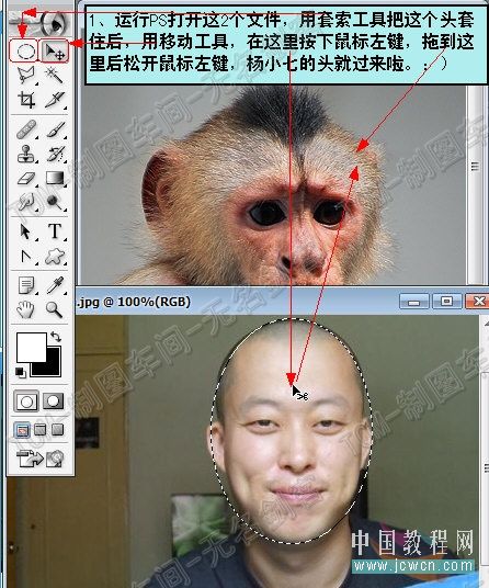 PS移花接木:猴子照片换脸的合成教程