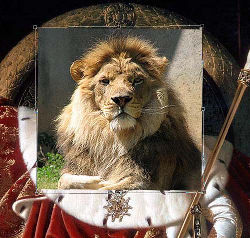 Photoshop合成创意的丛林人形狮王照片