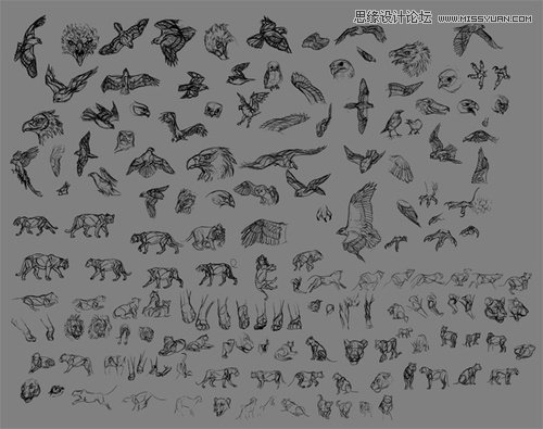 提升数码绘图板鼠绘动物图片的七大技巧