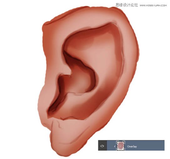 学习制作真人男性耳朵图片的PS鼠绘教程