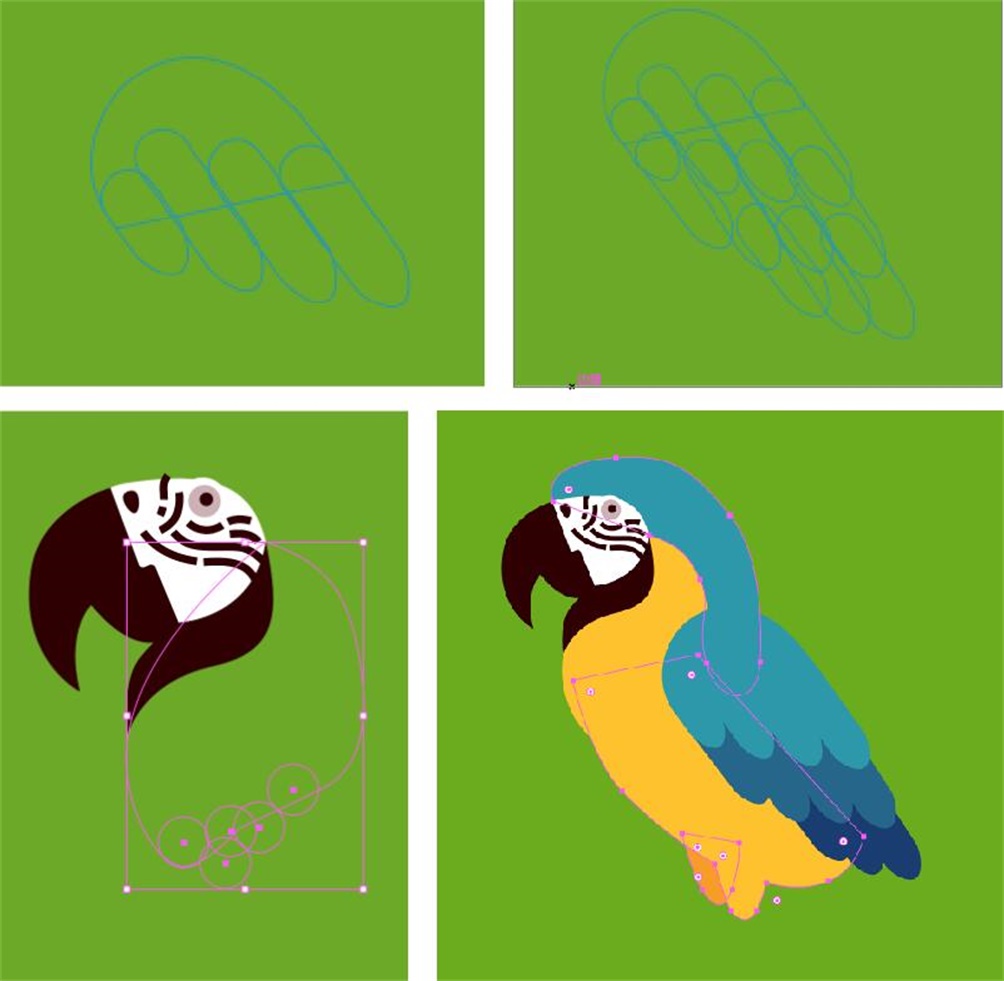 鼠绘复古风格鹦鹉插画图片的PS教程