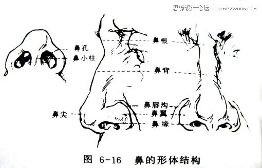 鼠绘逼真金发美女头像照片的PS教程