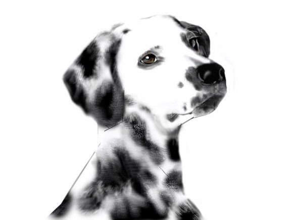 PS鼠绘长有斑点的可爱小狗素描图