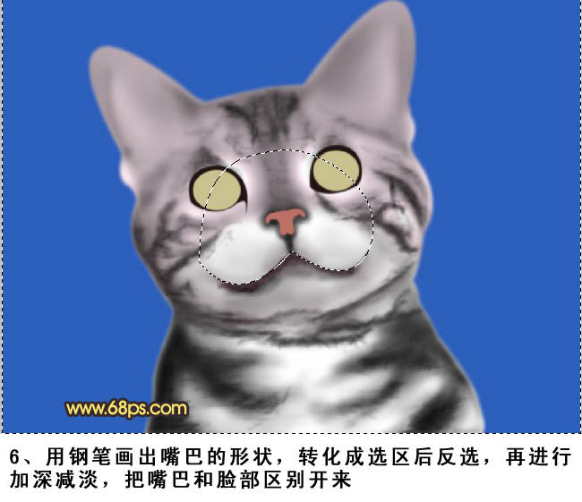 鼠绘神态自若可爱小花猫的PS教程