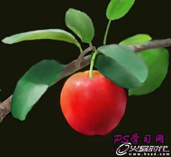 PS鼠绘挂在树上的红色樱桃
