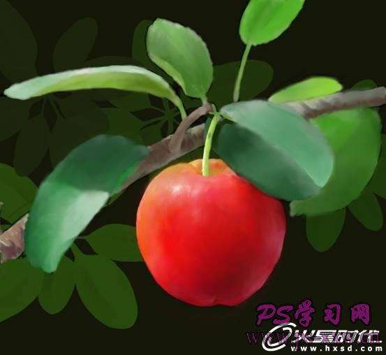 PS鼠绘挂在树上的红色樱桃