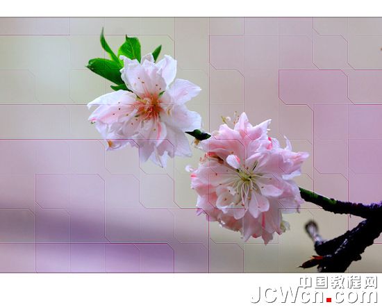 PS制作不规则方格组成的花朵照片