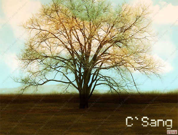 用PS打造梦幻潮流色彩的树木照片