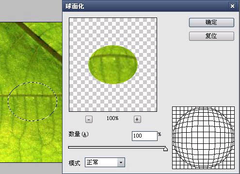 Photoshop制作绿色树叶上的透明水珠
