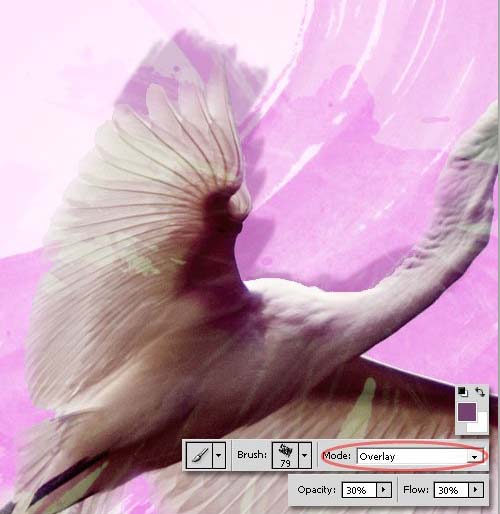 PS滤镜打造老旧水彩白鹤照片