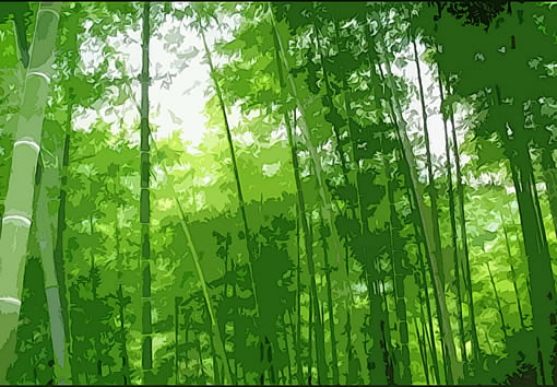 制作矢量风格的竹林风景效果图