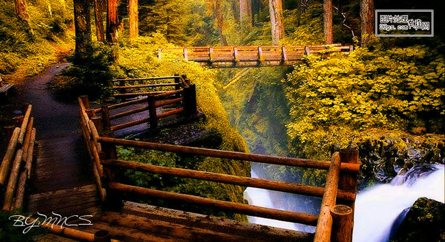 金黄色森林公园照片润色的PS技巧