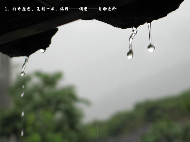 灰朦雨滴风景照片PS调成绿色清爽效果