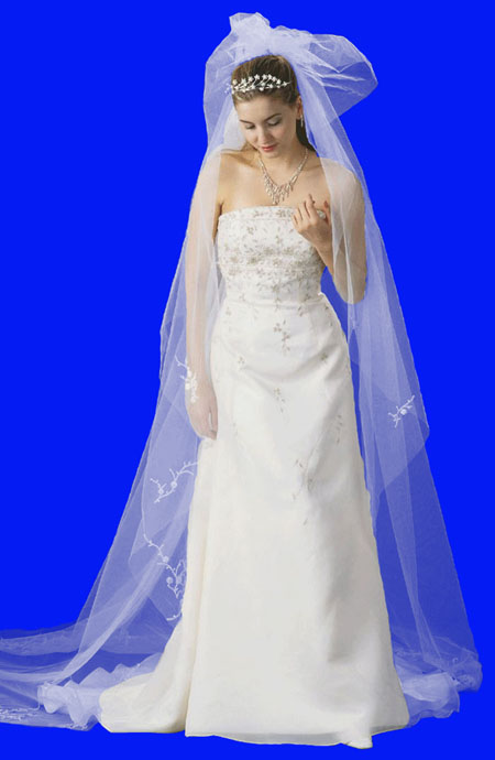 抠取透明婚纱照片的Photoshop软件抠图技巧