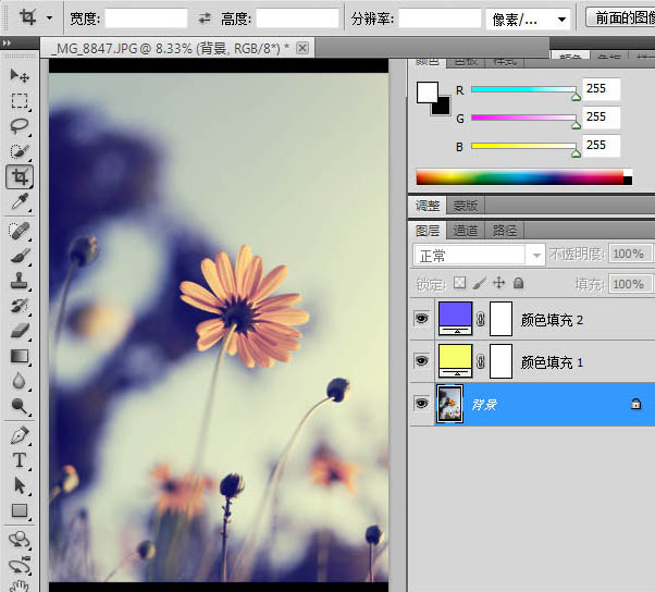 PS把微距下的花朵图片调成蓝黄色
