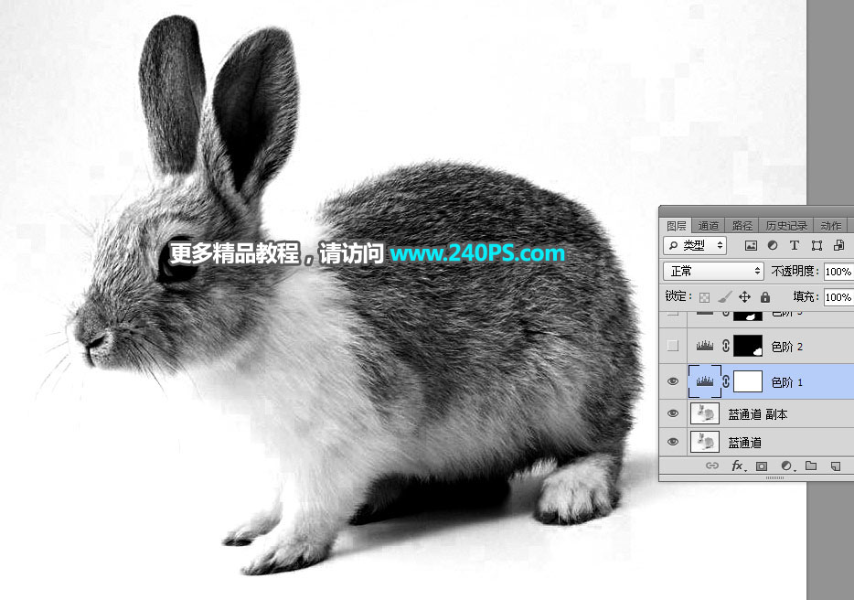 用PS钢笔和通道对兔子照片抠图的教程
