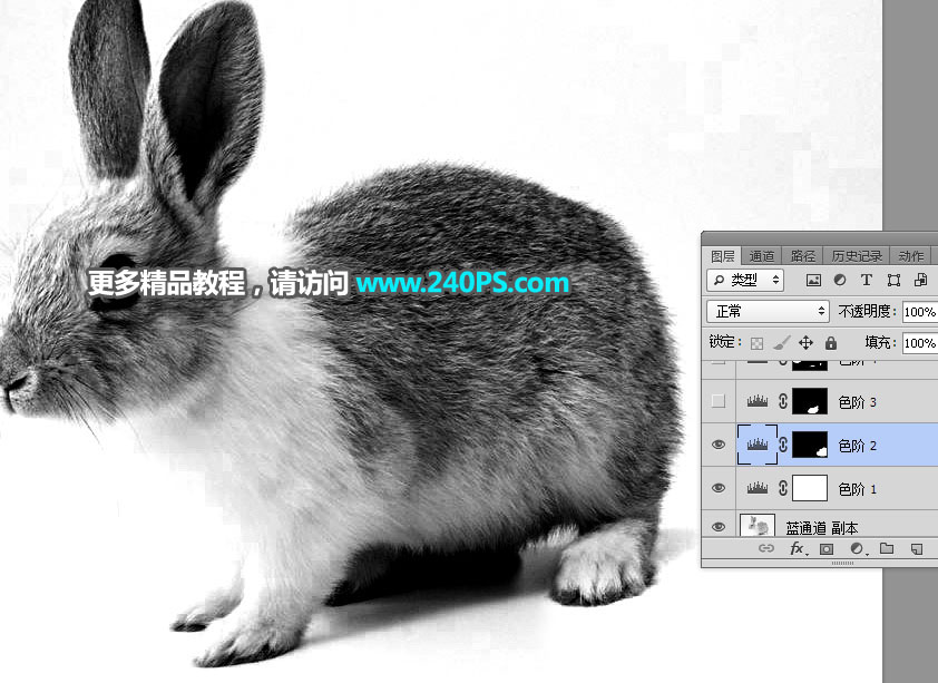 用PS钢笔和通道对兔子照片抠图的教程