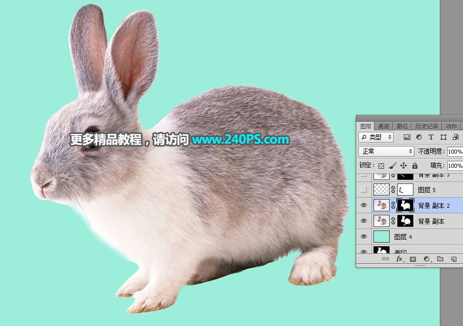 用PS钢笔和通道对兔子照片抠图的教程