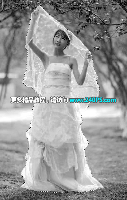 树林透明婚纱新娘照片抠图处理的PS教程