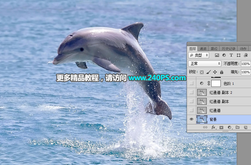 抠出水面海豚图片的PS通道抠图技巧