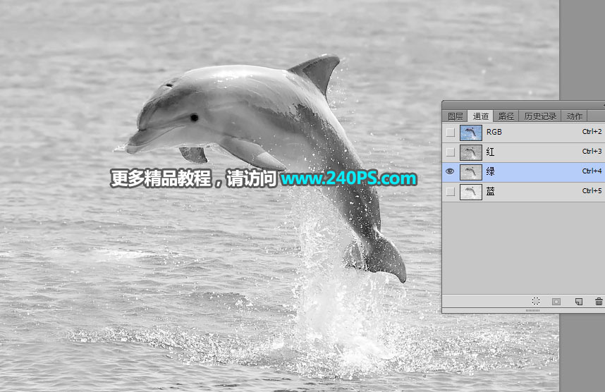 抠出水面海豚图片的PS通道抠图技巧