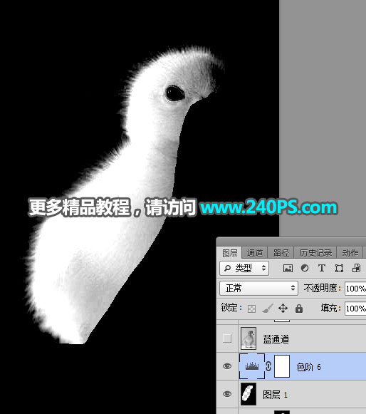 PS抠取毛茸茸小鸭子图片的通道抠图技巧