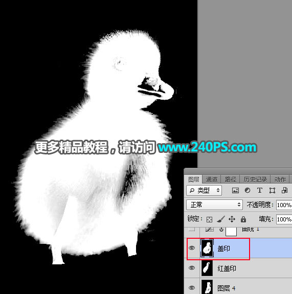 PS抠取毛茸茸小鸭子图片的通道抠图技巧