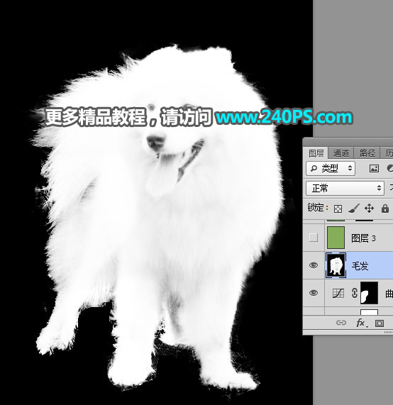 对毛茸茸白色小狗照片抠图的PS教程