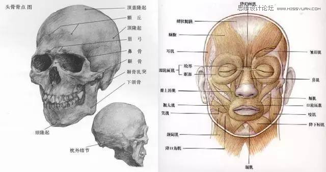 解析商业大片人物皮肤修饰的PS技巧