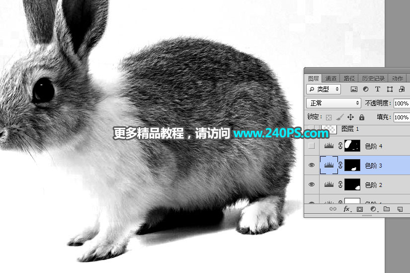 用PS钢笔和通道对兔子照片抠图的教程