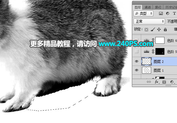 用PS钢笔和通道对兔子照片抠图的教程