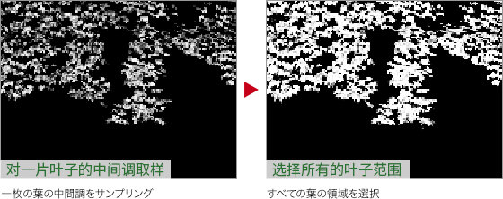 制作金黄色树叶风景照片的PS技巧