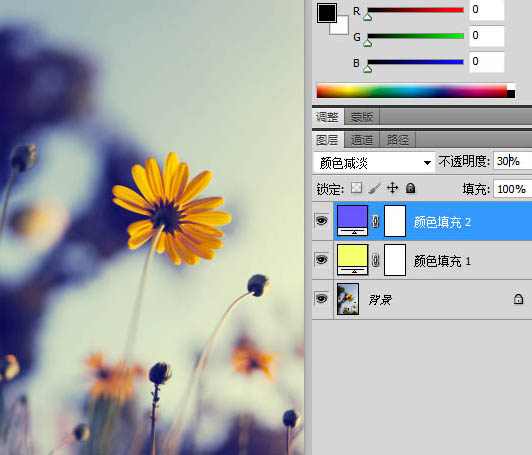 PS把微距下的花朵图片调成蓝黄色