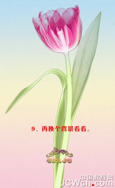 PS背景橡皮擦工具给花朵抠图技巧