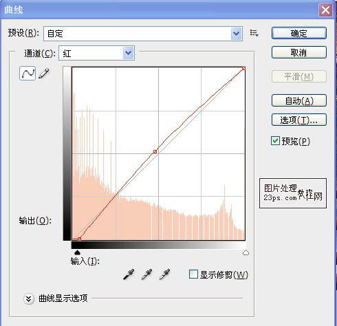 金黄色森林公园照片润色的PS技巧