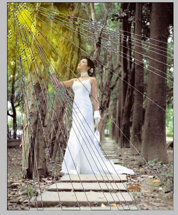 树林照片添加阳光照射效果的PS技巧