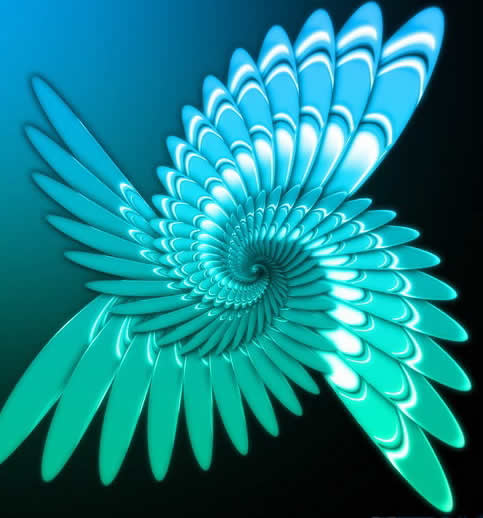 3D旋转的羽毛效果