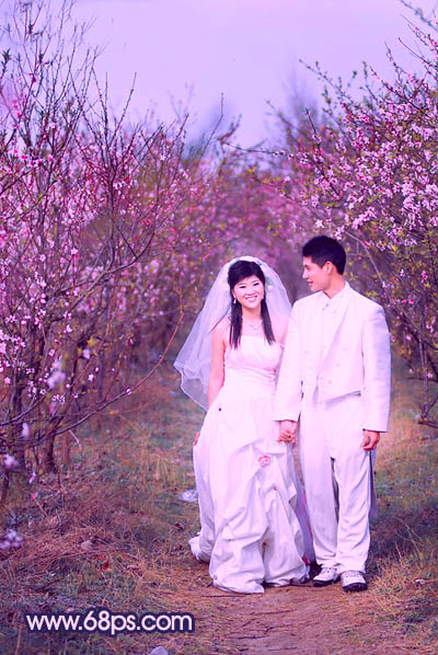 PS打造紫色桃花树林中的婚片色彩