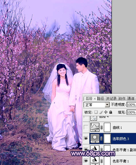 PS打造紫色桃花树林中的婚片色彩