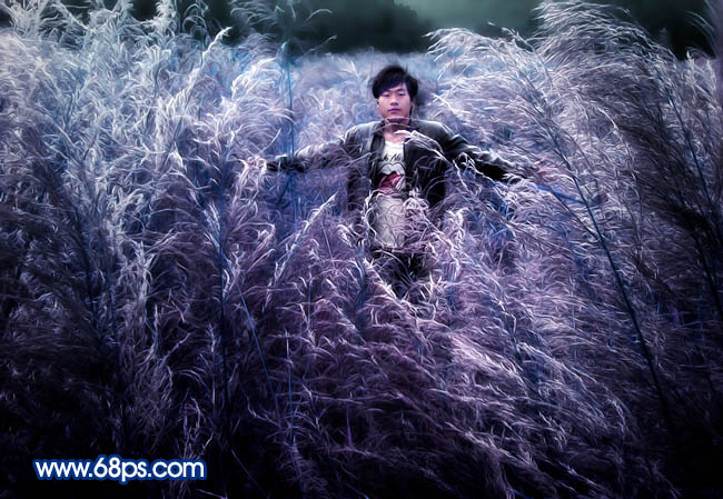 PS调制紫色草丛中的男生照片