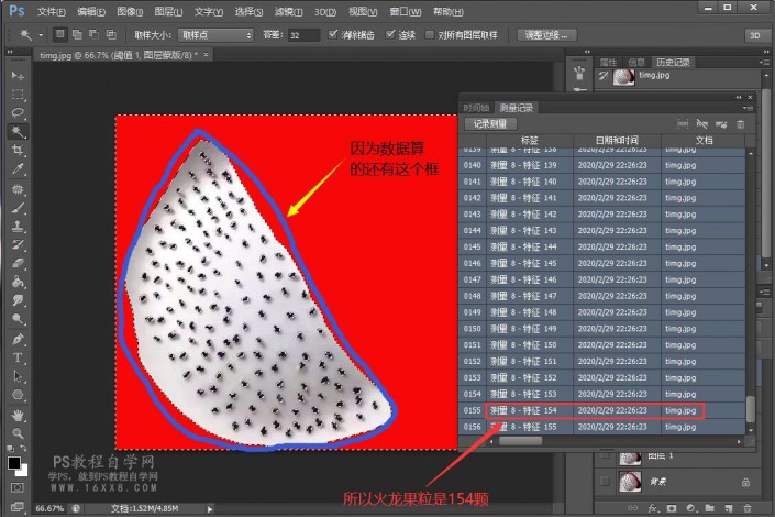 快速计算，用PS科学计算出图中的火龙果籽有多少颗