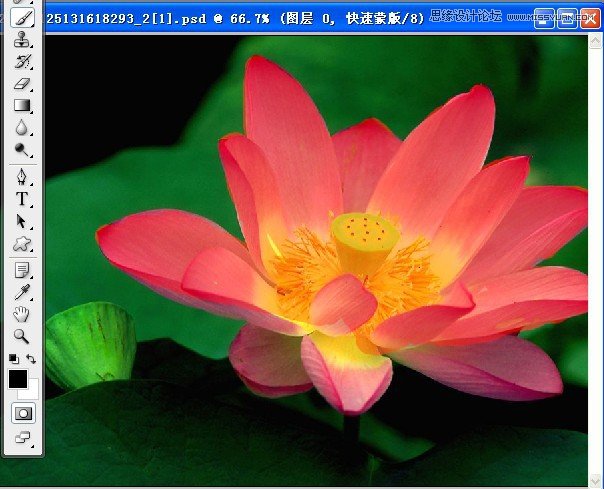 Photoshop深度解析蒙版的应用和技巧,PS教程,16xx8.com教程网